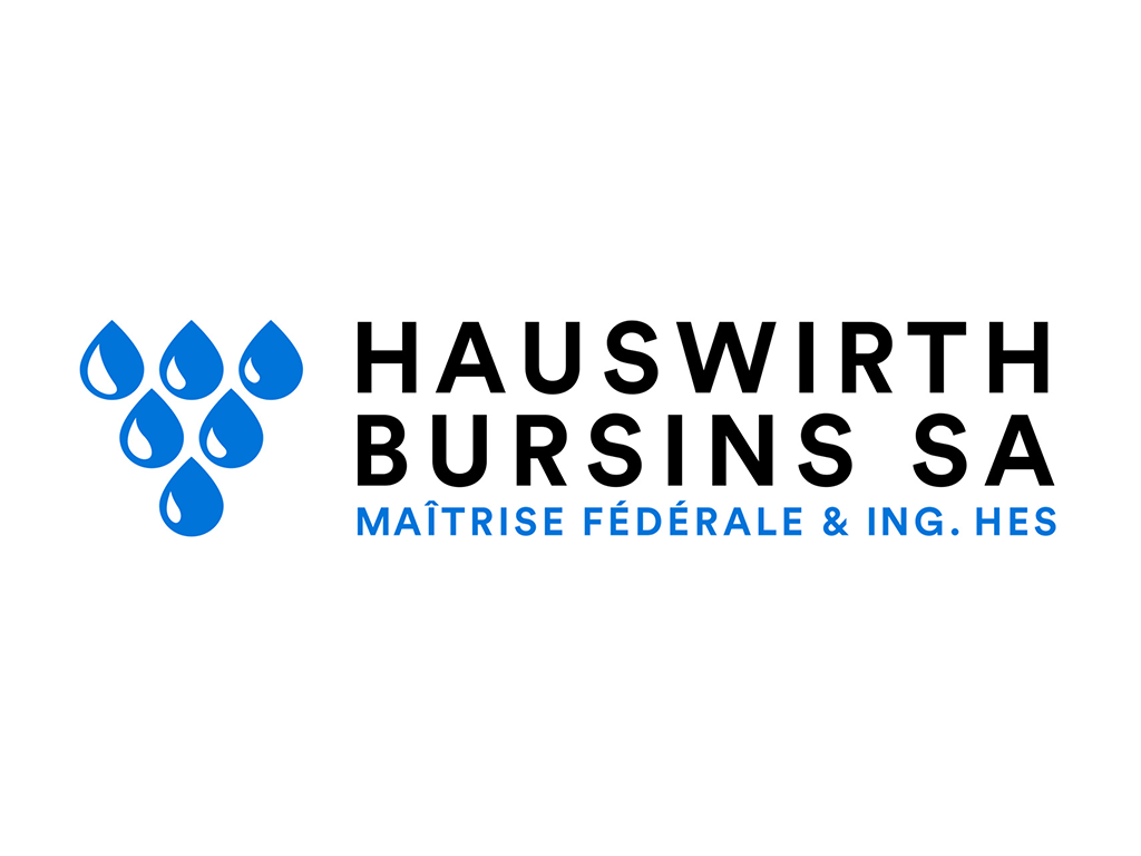 Hauswirth Logo